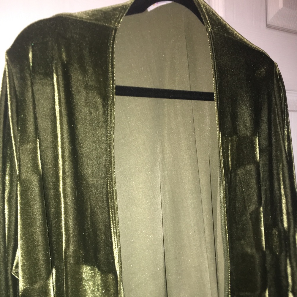 NWOT Large Velvet Green Sarah